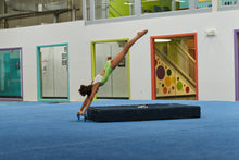 Load image into Gallery viewer, Adjustable Height Parallette Bars