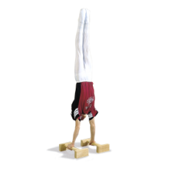 Handstand Training Aids (1403150)